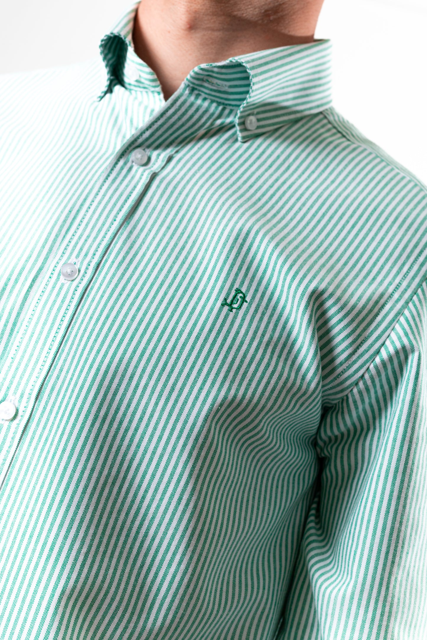 CAMISA OXFORD RAYAS VERDE