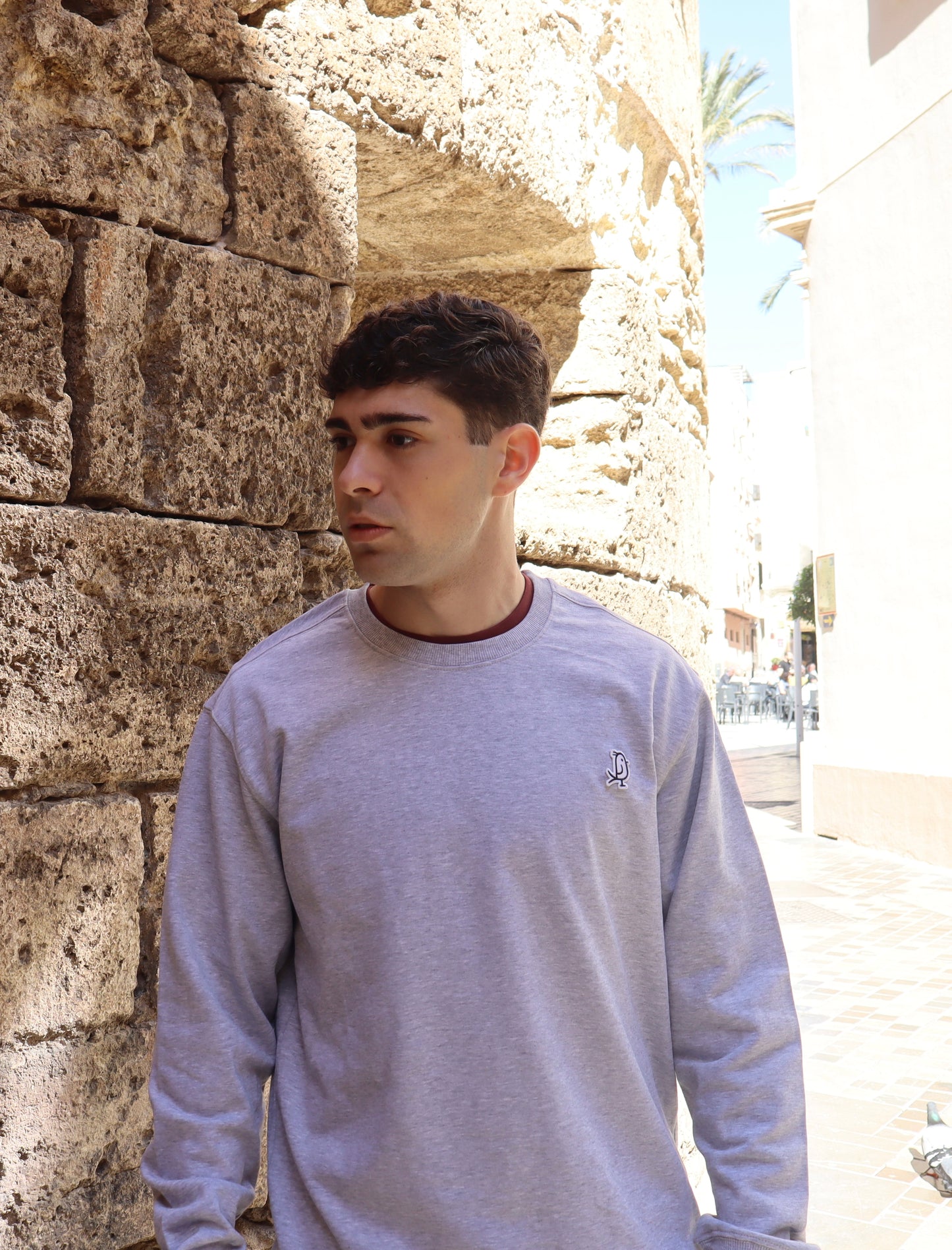 SUDADERA BASICA GRIS CLARO
