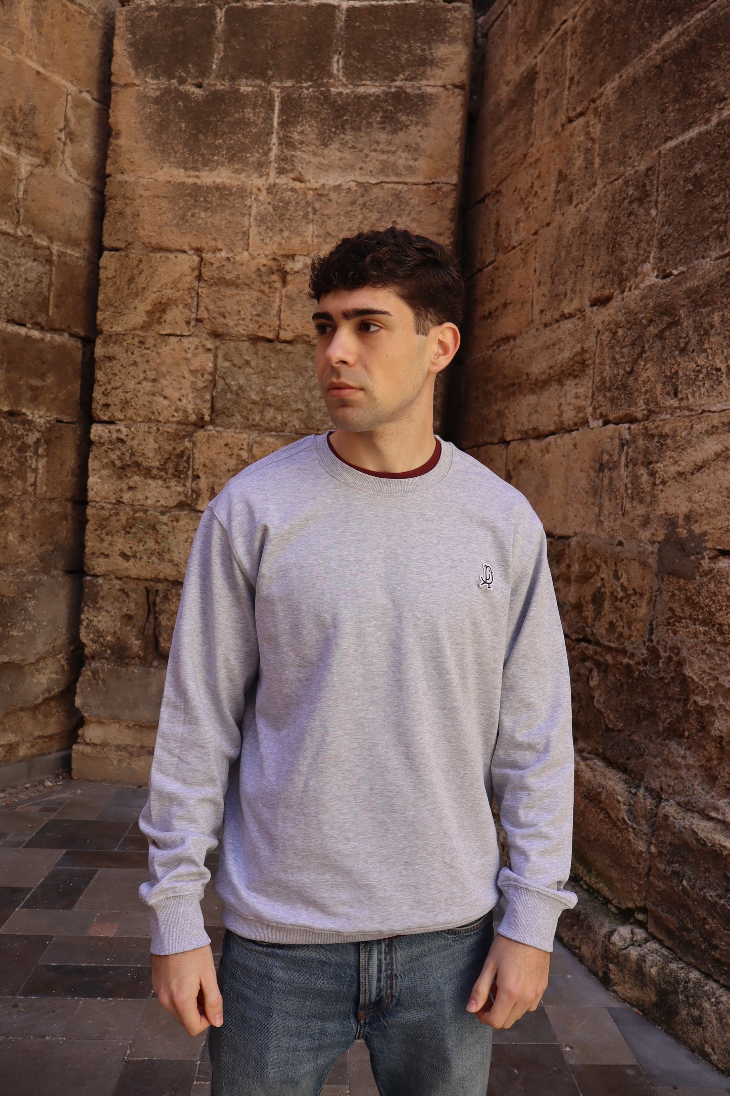 SUDADERA BASICA GRIS CLARO